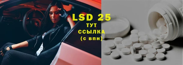 PSILOCYBIN Елабуга