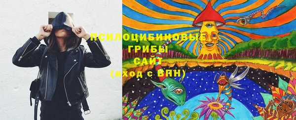 PSILOCYBIN Елабуга