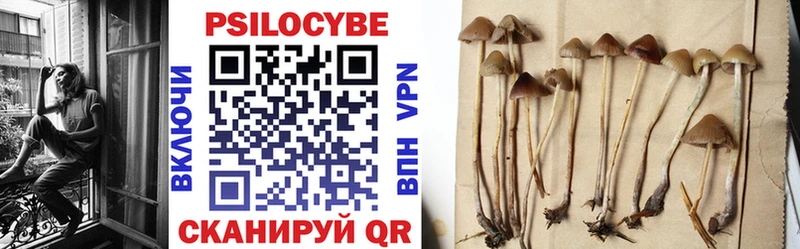 Купить  Зарайск  Псилоцибиновые грибы прущие грибы 